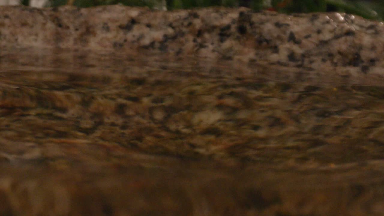primer plano del agua asentándose en una fuente