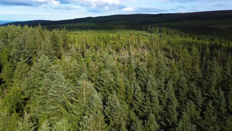 aerial ascending shot over a partially deforested forest in ireland