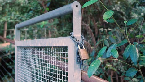 open steel fence with lock in the forest trail. close-up shot
