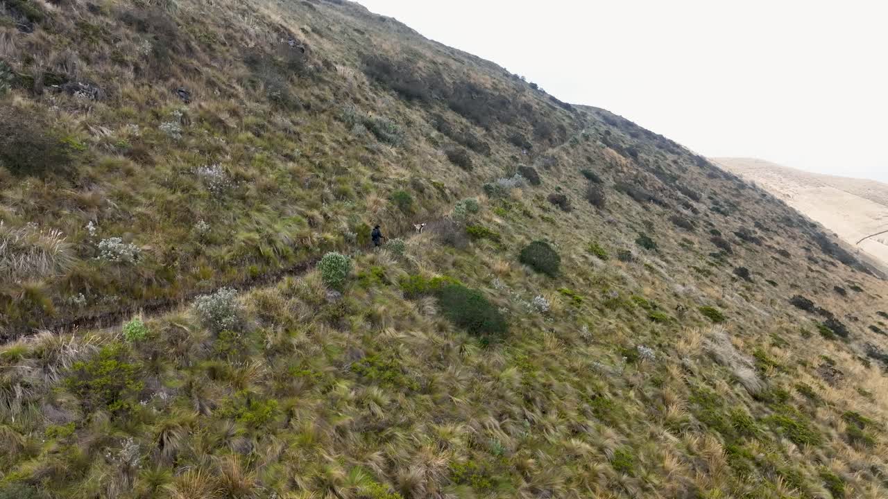 Drone view capturing an adventure man with his pet dog walking on arid mountains during daytime.