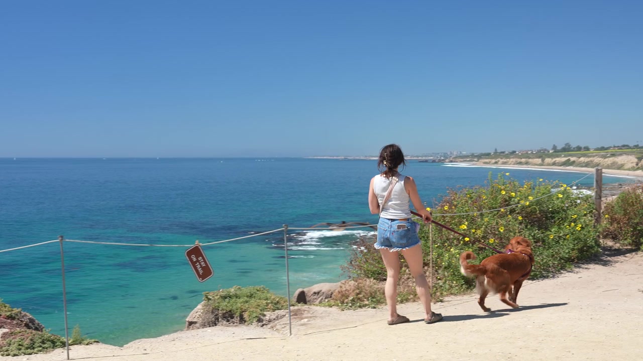 Uccello costiero che vola vicino a donna e cane nel Crystal Cove State Park, California USA