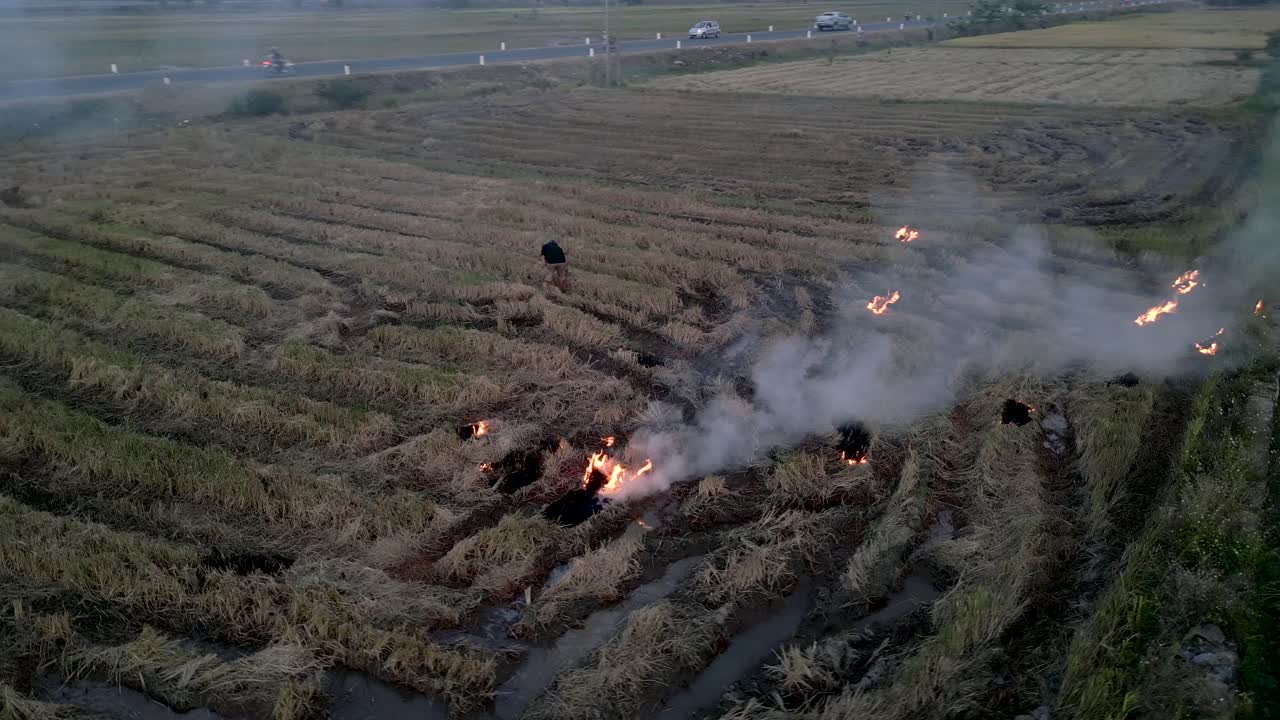 Burning Rice Paddy Fields