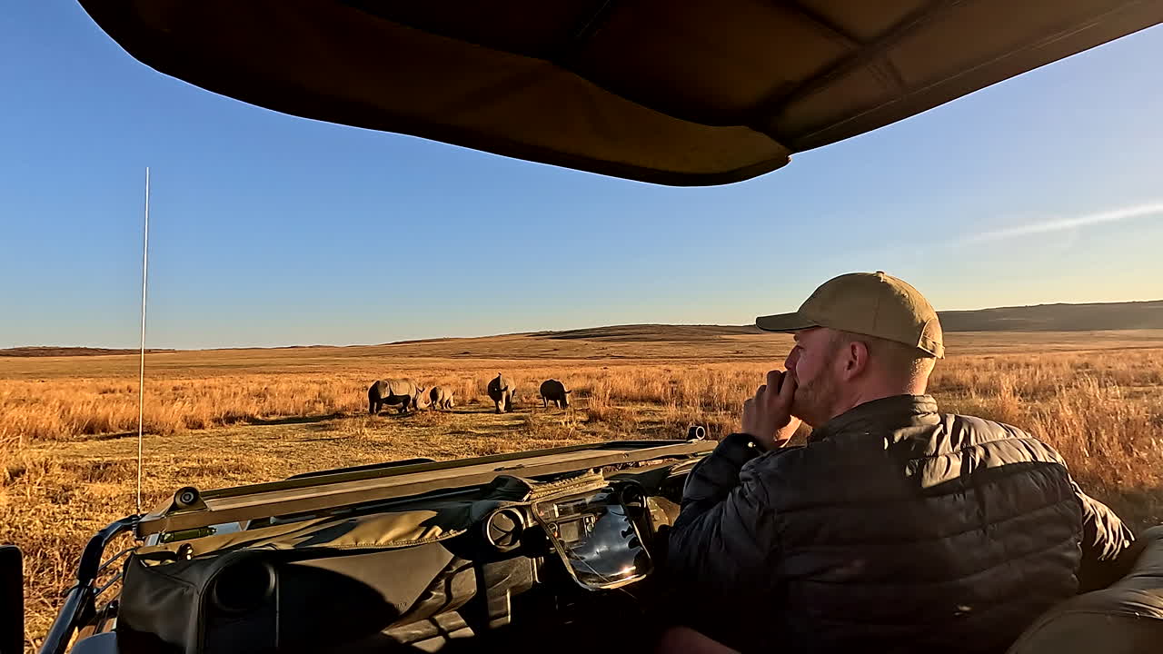 Game ranger in safari truck reports condition and location of endangered rhinos