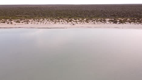 shark bay’s waters, islands and peninsulas have a number of exceptional natural features, including one of the largest seagrass beds in the world