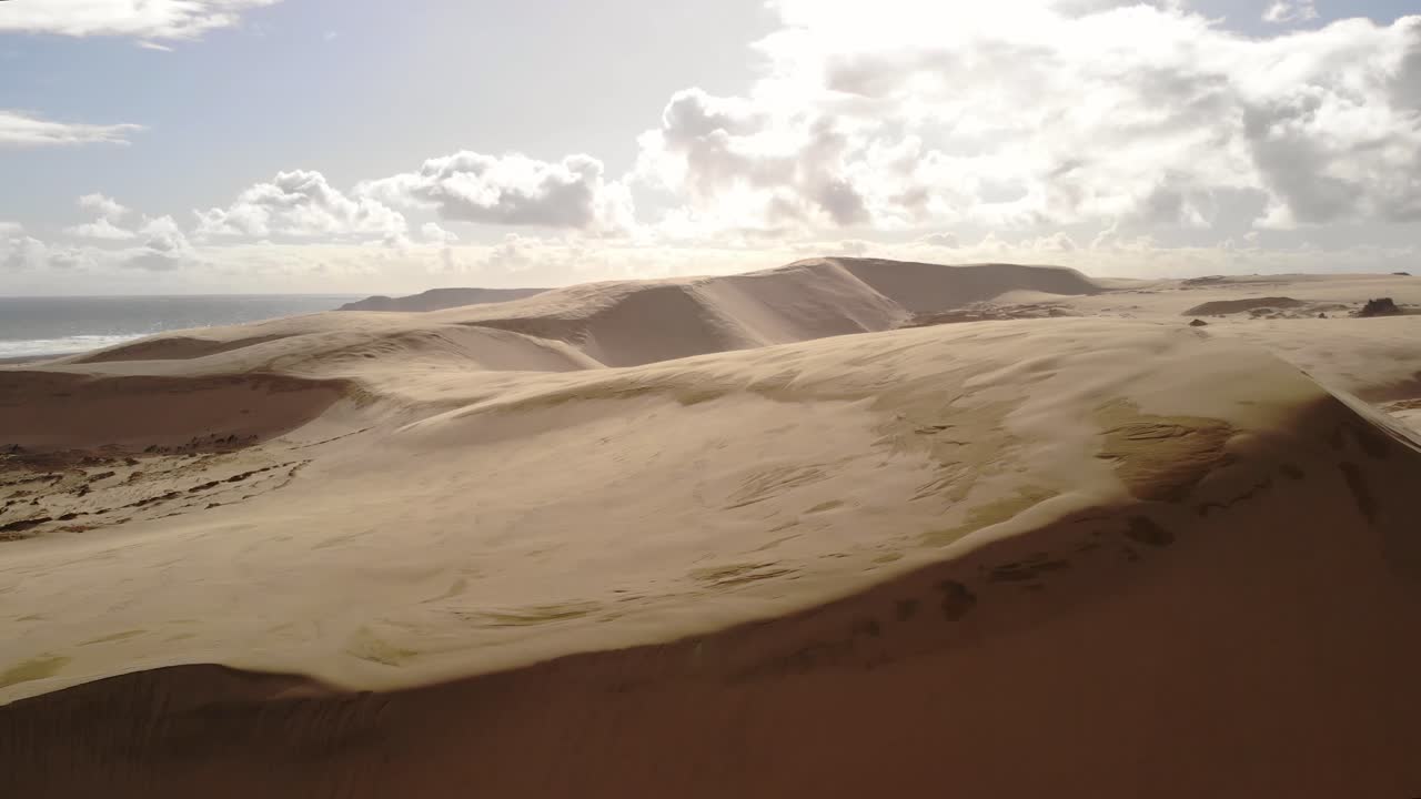 모래 언덕 위 로 날아간다