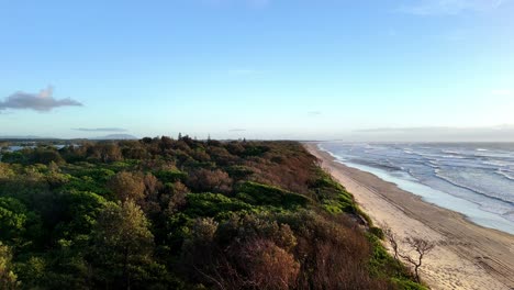 Lush-coastal-vegetation-framing-a-sweeping-beach-vista,-Early-morning-light-bathing-the-landscape-in-a-soft-glow