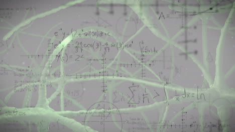 animación de ecuaciones matemáticas sobre neuronas digitales sobre un fondo blanco