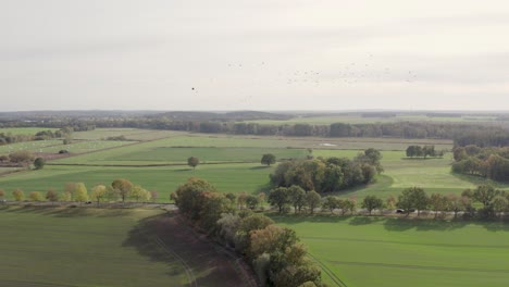 Imágenes-De-Drones-Con-Vista-Aérea-De-La-Carretera-Rural-Con-Autos-Que-Pasan-Por-Ella-Tanto-Tiempo-En-El-Paisaje-Con-Colores-Otoñales-Tomadas-En-Un-Lugar-Llamado-Uetz-En-Brandeburgo,-Alemania