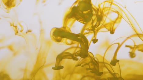 yellow ink diffusion in water