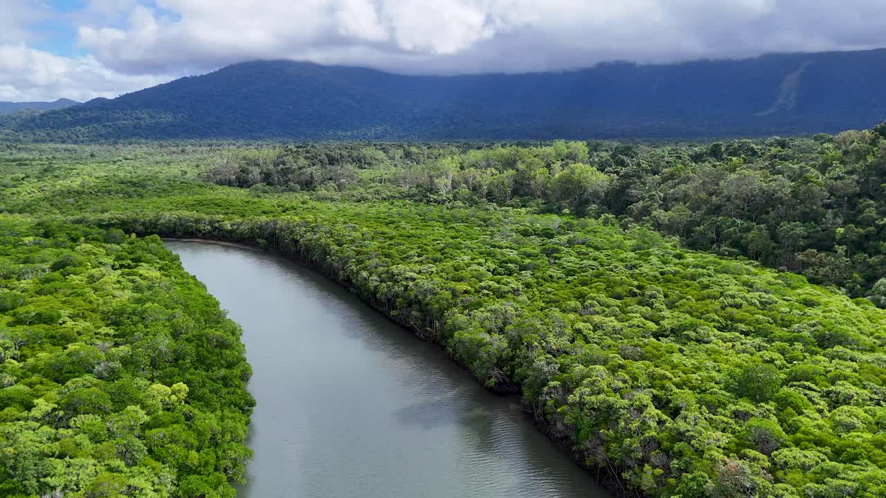 Aerial view of lush mangroves and winding river under cloudy skies, captured by drone on Australia's Gold Coast