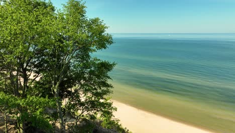 scenic beach landscape with lake and trees