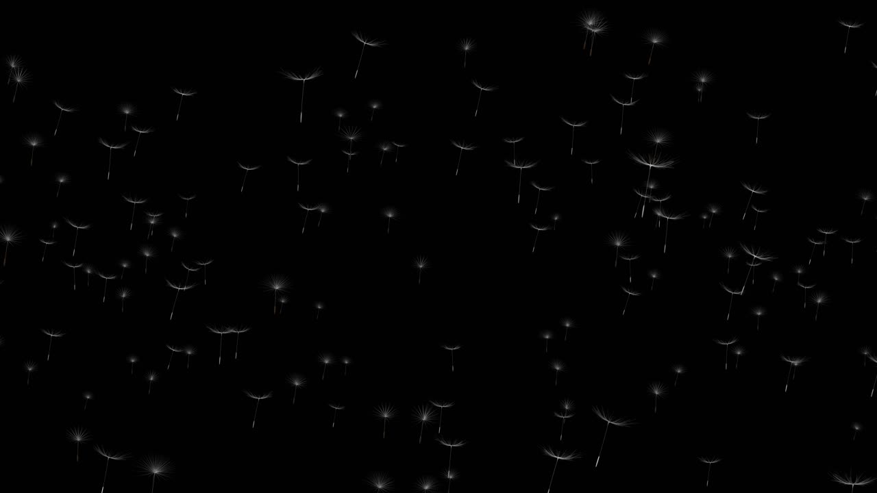 Dandelion in nature background fluffy dandelion flower with sunlight in summer animation in spring