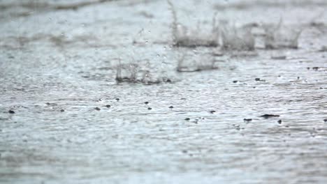 lluvia en cámara lenta cayendo en el suelo, vista de cerca