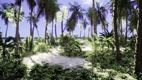 lush tropical landscape showcasing vibrant greenery and serene ambiance