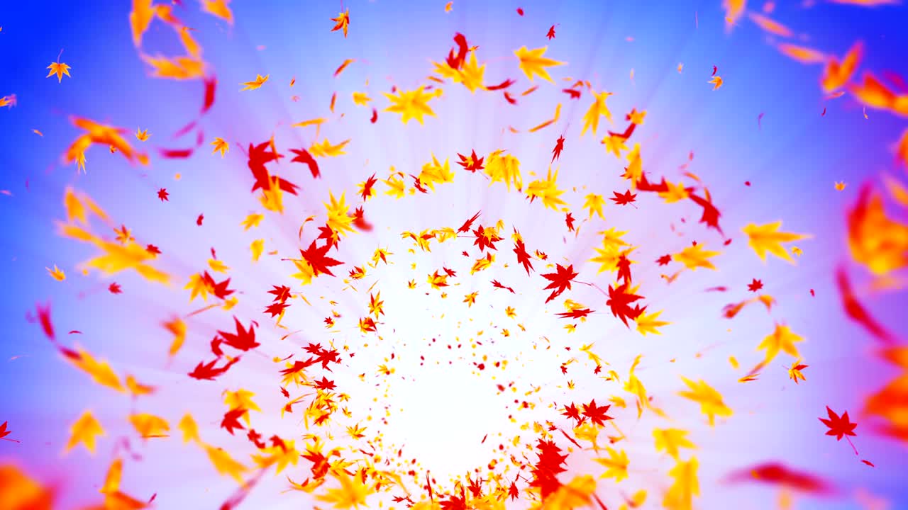 다채로운 메이플과 잎에서 나온 소용돌이, 가을 잎의 나선형 반이는 입자, 춤추는 잎, 다채로운 자연 터널 루프 애니메이션.