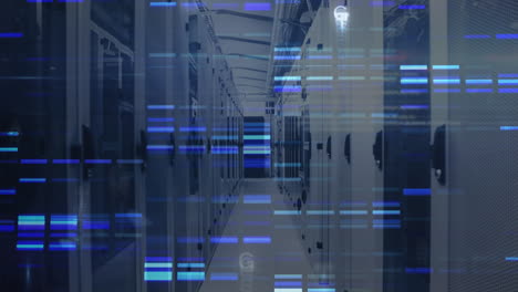 animación del procesamiento de datos a través de servidores