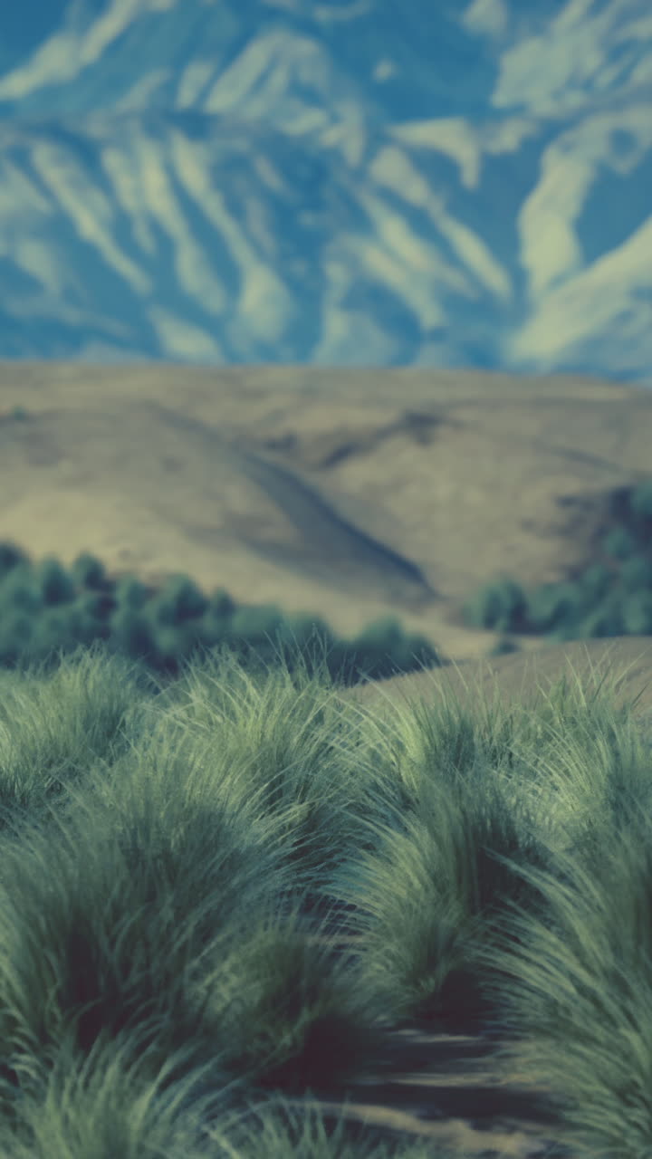 paisaje desértico con hierba y montañas