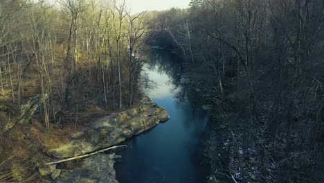 Overview-of-stream-in-park-through-trees