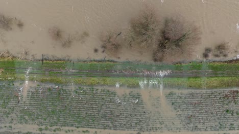 Flood-waters-rush-over-river-Waal-banks-in-Dutch-countryside,-Gorinchem