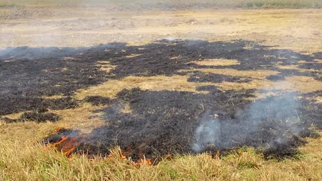 a fire is spreading across a grass field