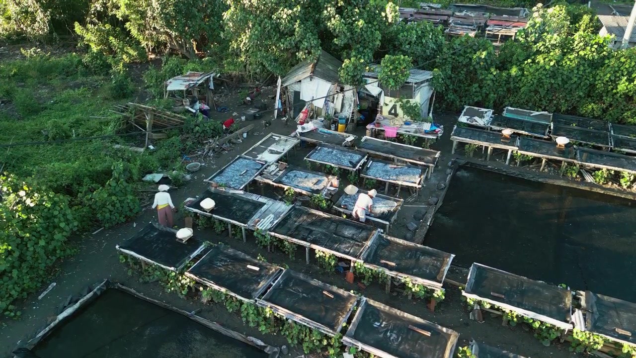 การผลิตเกลือทะเลแบบดั้งเดิม โดยคนงานท้องถิ่นกำลังเก็บเกี่ยวเกลือธรรมชาติจากบ่อตากเกลือด้วยวิธีการเก็บเกี่ยวด้วยมือ ภาพโดรนมุมสูงที่กำลังลอยขึ้น