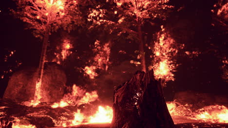 forest fire at night