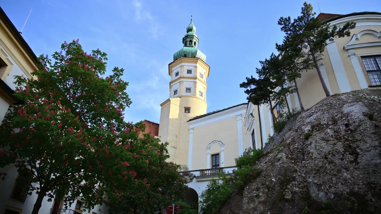Una torre di castello con una cupola di rame verde accanto a un castagno in fiore, Mikulov, Repubblica Ceca