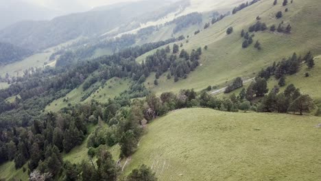 aerial view of green mountain valley with forest