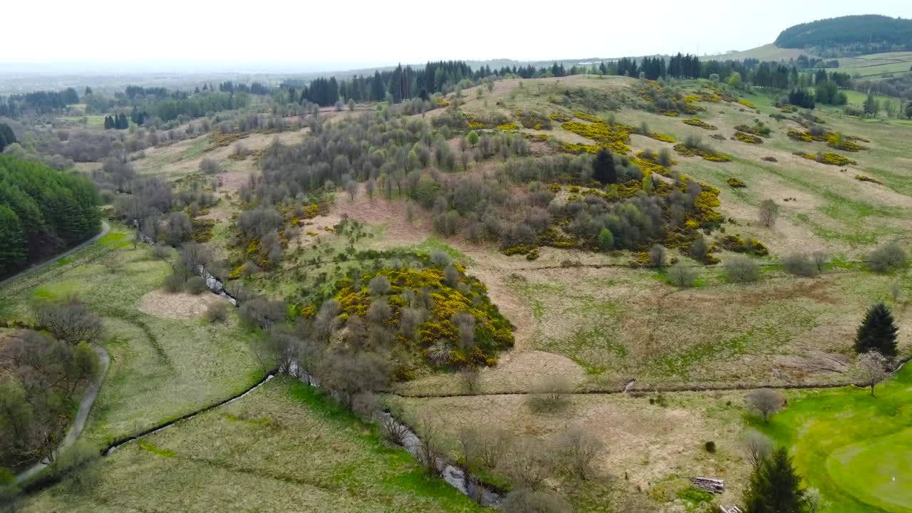 Aerial drone view of gorgeous green and yellow mossy and grassy Scottish plains and fields with a mountain or a hill visible in the cloudy background. Large trees and brown grass in the rural country.
