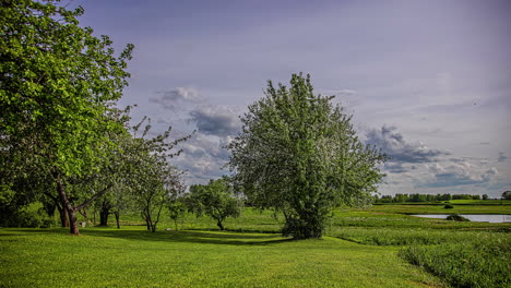 Tiro-De-Lapso-De-Tiempo-Del-Movimiento-De-La-Nube-Sobre-Los-árboles-En-El-Campo-Rural-En-Lapso-De-Tiempo-Durante-El-Día