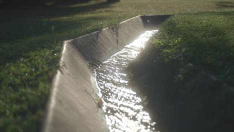 sunlight reflecting on a water channel in a garden