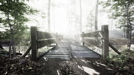 suspended wooden bridge crossing the river to foggy mysterious forest