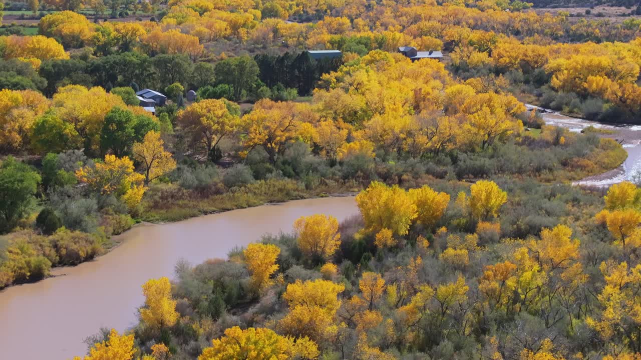 Autumn cottonwoods along Rio Chama in Abiquiu, New Mexico from above