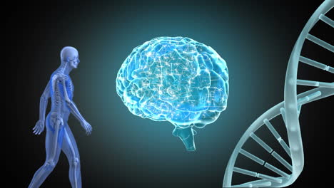 compuesto digital de un humano, cerebro, y el código genético