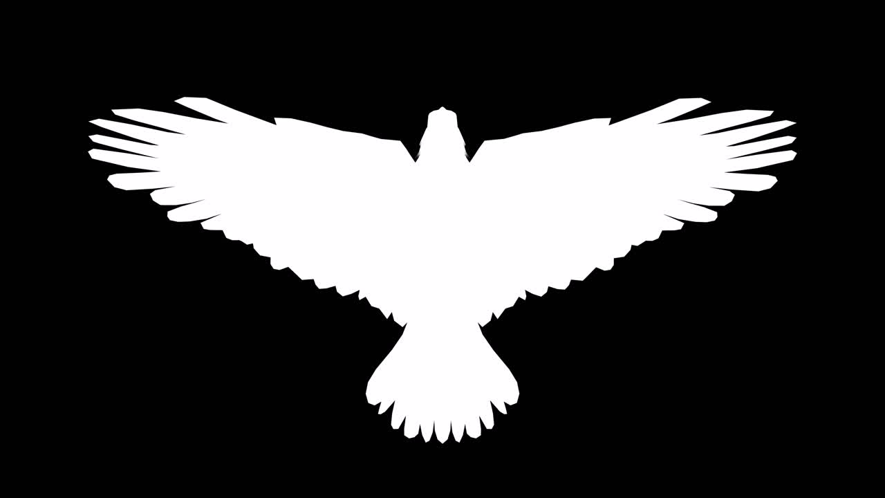 An american bald eagle fly flap wings on black background with alpha channel included at the end of the video, 3D animation, top view, animated animals, seamless loop animation