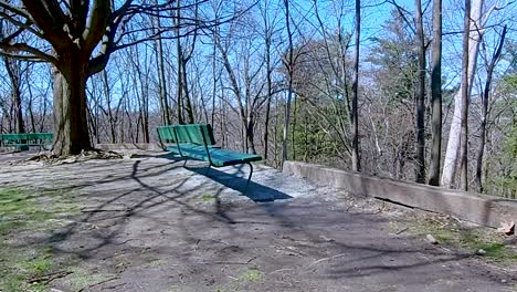 no people sit on a bench with a view of the forest, on a warm sunny day, zoom in