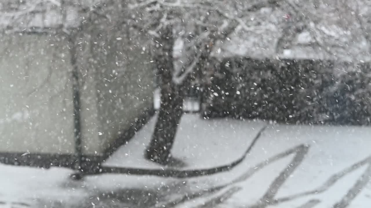 떨어지는 눈의 슬로우 모션. 흐린 겨울 배경