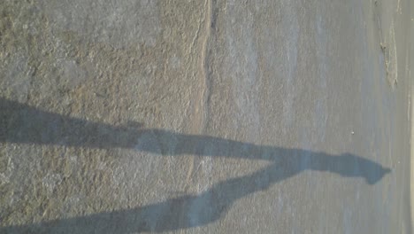 a hiker's shadow is seen on a dried up salt lake in western australia