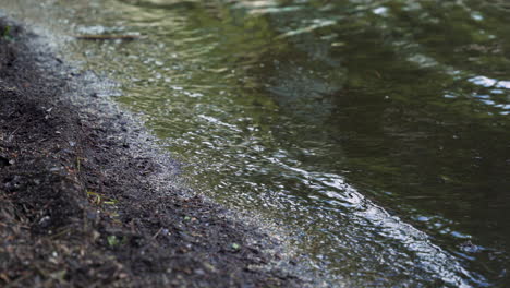 Schwarze-Wasserwellen,-Die-Auf-Der-Uferseeseite-Des-Teichs-Mit-Schmutz-Und-Verschmutzung-Spritzen