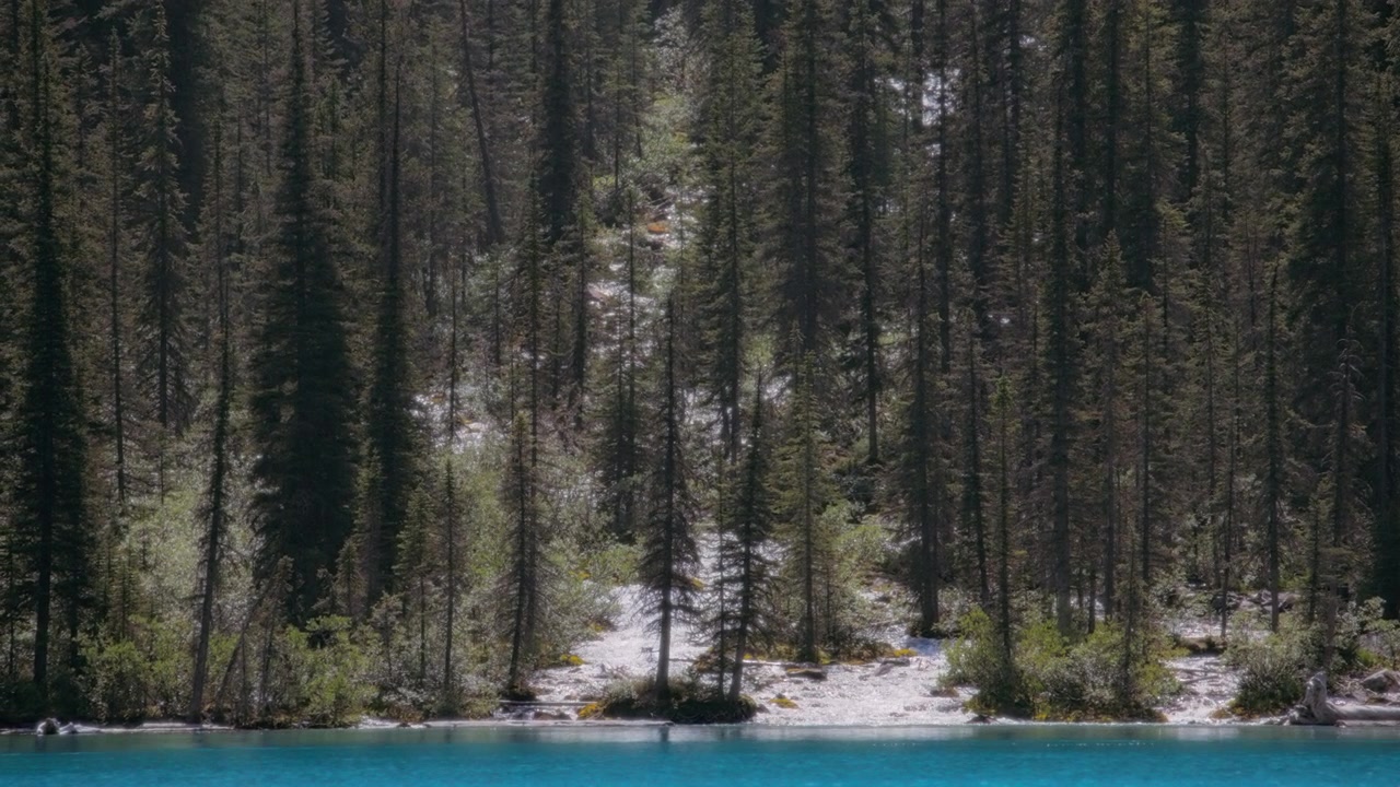 Ruscello glaciale di montagna che sfocia nel Lago Moraine