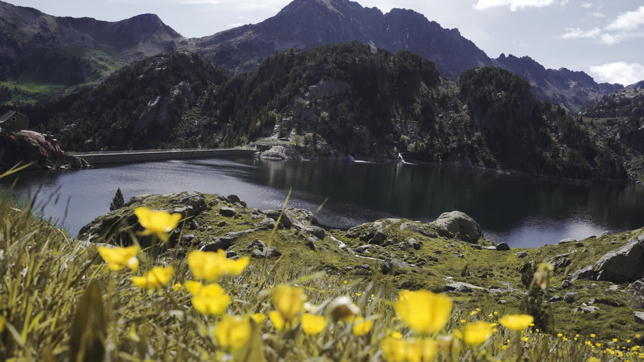 scenic landscape in Aig&uuml;estortes National Park in the Catalan Pyrenees Spain, high altitude mountains lake with range peak and wild yellow flowers