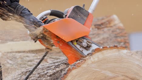 Woodcutter saws tree with electric chain saw on sawmill. Chainsaw used in activities such as tree felling, pruning, cutting firebreaks in wildland fire suppression, and harvesting of firewood.