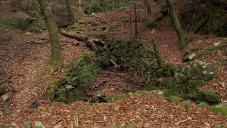 Friedliche-Herbstszene-In-Den-Japanischen-Bergen