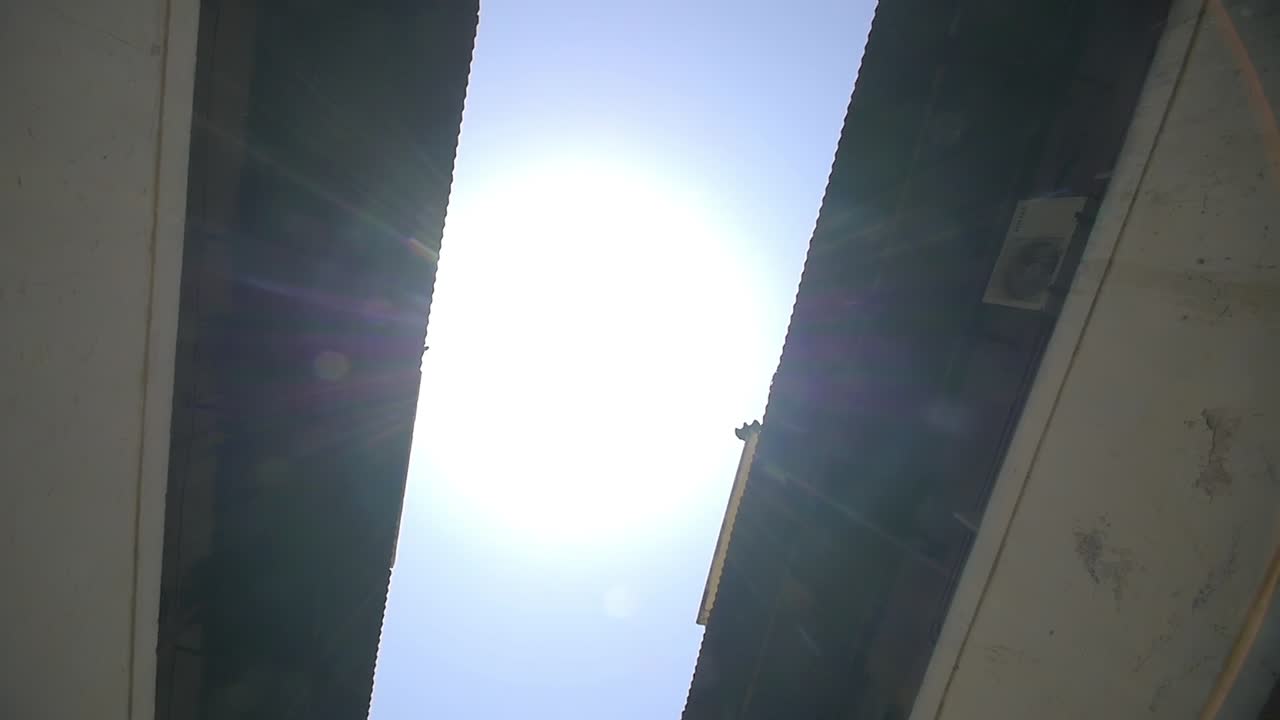 орел, летящий с крыши