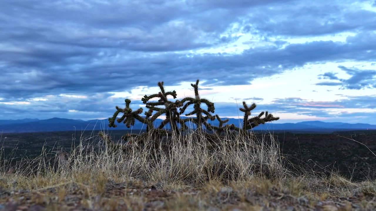 Timelapse 4K di un cactus cholla e erba dorata nell'ampio deserto d'alta quota. Morbidi colori pastello del tramonto si spostano attraverso nuvole stratificate e dense mentre la sera si avvicina sull'orizzonte montuoso distante