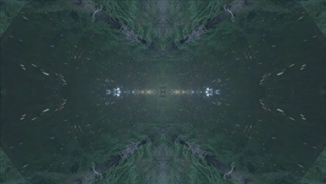 greenery kaleidoscope using forest imagery from wissahickon creek, philadelphia, #16