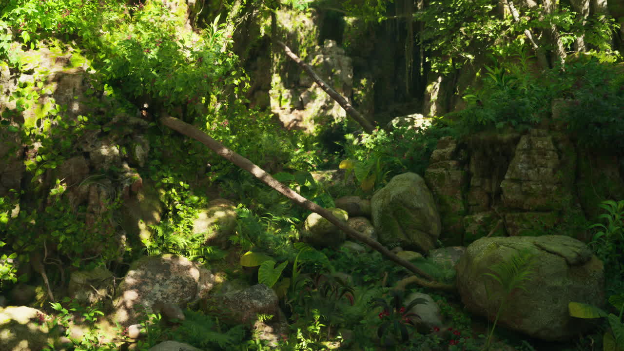 울창 한 열대 열대 우림 장면