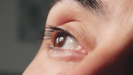 primer plano del ojo humano, ojo marrón con reflejo de ventana