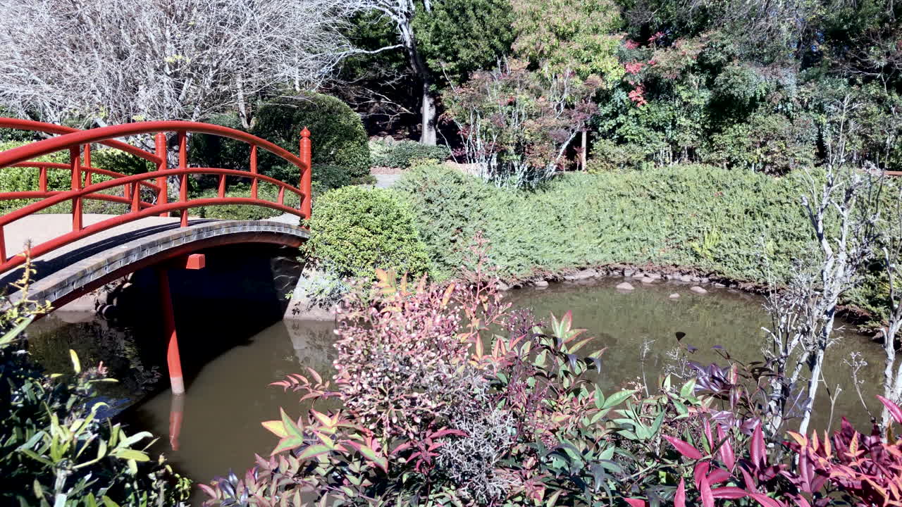 잔잔한 연못 위의 빨간 다리, ju raku en japanese garden, toowoomba australia