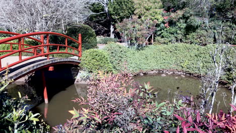 red bridge over calm pond, ju raku en japanese garden, toowoomba australia